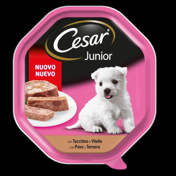 CESAR   JUNIOR   VS   150G   VIT/TACC.