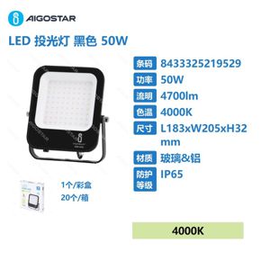 FLOOD LIGHT LED