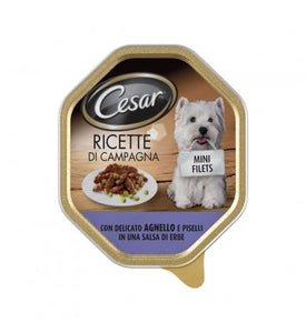 CES.RDC DEL AGN PIS, SALSA ERB150G