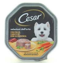 CESAR   DOG   VS   150G   SEL.ORTO   POL/CAR