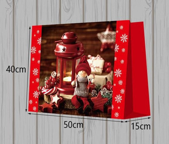50*40*15CM SACCHETTI ORIZZONTE