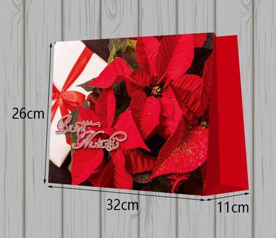 32*26*11CM SACCHETTI ORIZZONTE