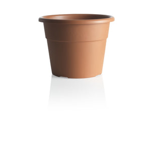 VASO   HEDERA   D. 30
