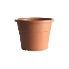 VASO HEDERA D. 50