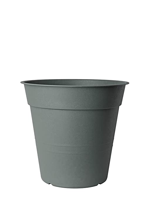 VASO FLY D.15 OLIVA