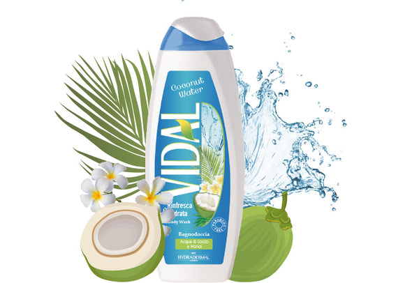 VIDAL BAGNO 500ML Coconut Water