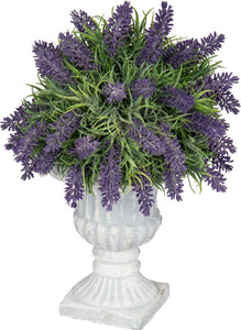 PIANTA LAVANDA CLASSIC POT 37CM