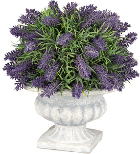 PIANTA LAVANDA CLASSIC POT 29CM