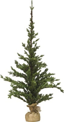 ALBERO ASPEN 210CM VASO JUTA