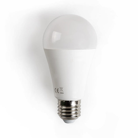 LED A5 A60(19W,E27,6400k)